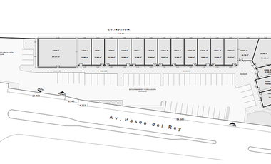 Avenida Paseo del Rey, Local en Renta, Salitrillo, México
