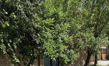 RENTA DE TERRENO COMERCIAL, Casco Urbano SPGG