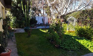 BUIN- CARLOS CONDELL