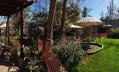 BUIN- CARLOS CONDELL