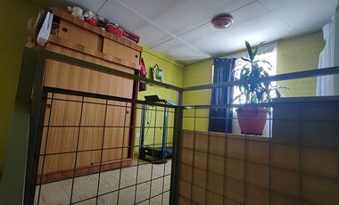 NUEVO BUIN