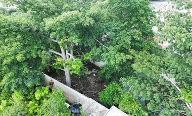 Terreno en el Barrio de San Roman