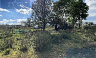 Terreno en venta San Miguel de la Victoria Jilotepec Estado de Mexico