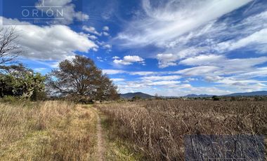 Terreno en venta San Miguel de la Victoria Jilotepec Estado de Mexico