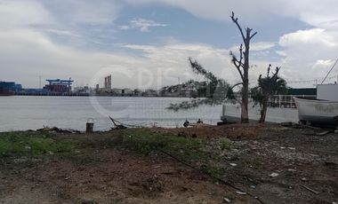 TERRENO EN RENTA DA AL RÍO EN CARRETERA A LA BARRA