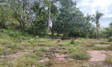 Venta de Terreno en Panamá Oeste, Nueva Gorgona