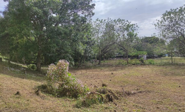 Venta de Terreno en Panamá Oeste, Nueva Gorgona