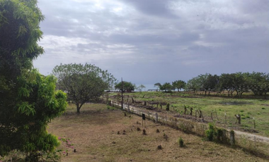 Venta de Terreno en Panamá Oeste, Nueva Gorgona