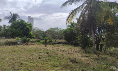 Venta de Terreno en Panamá Oeste, Nueva Gorgona