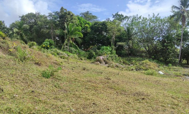 Venta de Terreno en Panamá Oeste, Nueva Gorgona