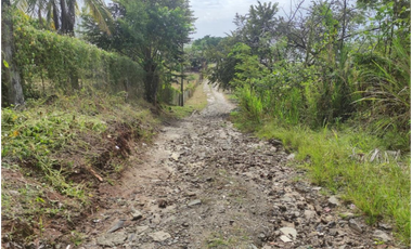 Venta de Terreno en Panamá Oeste, Nueva Gorgona