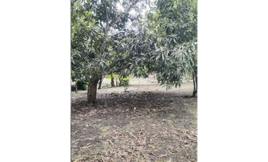 CHILIBRE / AGUA BENDITA / 6000M / 5 HABITACION / TERRAZAS / DUPLEX ED