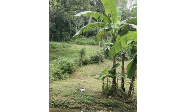 CHILIBRE / AGUA BENDITA / 6000M / 5 HABITACION / TERRAZAS / DUPLEX ED