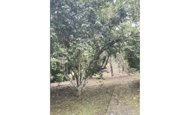 CHILIBRE / AGUA BENDITA / 6000M / 5 HABITACION / TERRAZAS / DUPLEX ED