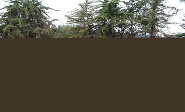 Sitio en Venta en La Chocota Puchuncaví