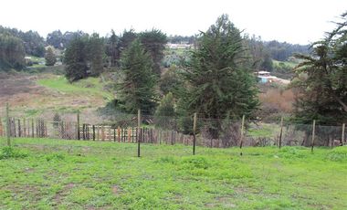 Sitio en Venta en La Chocota Puchuncaví