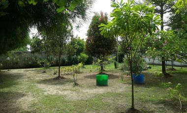 Dijual Rumah di jl Pramuka Rumbai