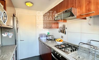 Coraceros/ 15 Norte/ Viña del Mar