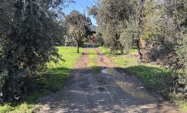 Terreno Construccion en Venta en Los Castaños, cercano a Camino a San José de Maipo
