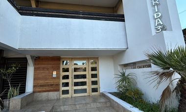 Renta departamento AMPLIO en Hipódromo con vista