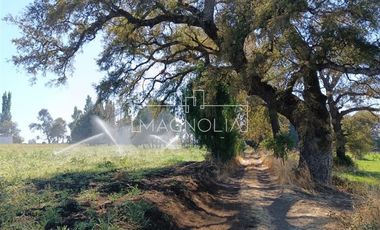 Sitio en Venta en El Huerton/Antuco