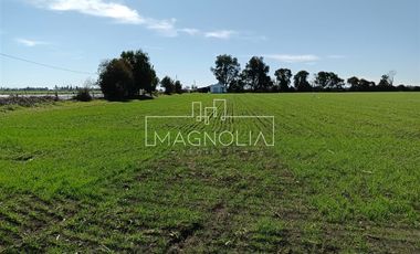 Sitio en Venta en El Huerton/Antuco