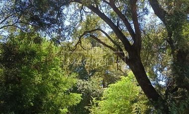 Sitio en Venta en El Huerton/Antuco