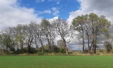 Sitio en Venta en El Huerton/Antuco