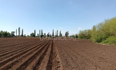 Sitio en Venta en El Huerton/Antuco