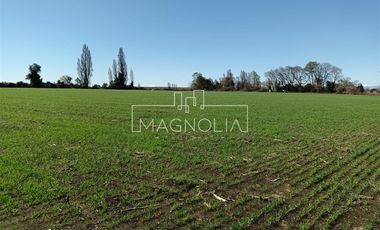 Sitio en Venta en El Huerton/Antuco