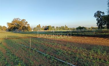 Sitio en Venta en El Huerton/Antuco