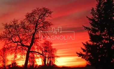 Sitio en Venta en El Huerton/Antuco