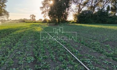 Sitio en Venta en El Huerton/Antuco