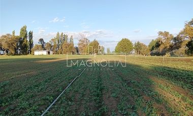 Sitio en Venta en El Huerton/Antuco