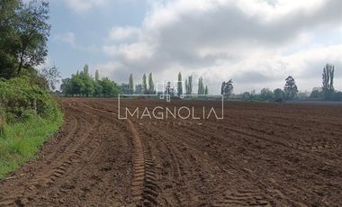 Sitio en Venta en El Huerton/Antuco