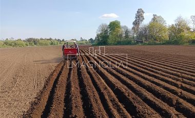 Sitio en Venta en El Huerton/Antuco