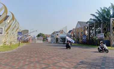 Zelkova Safira Garden