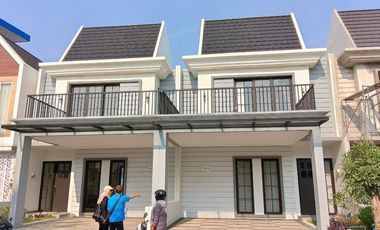 Zelkova Safira Garden