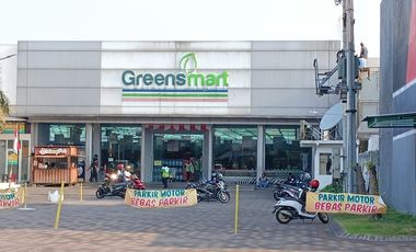 Zelkova Safira Garden