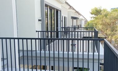 Zelkova Safira Garden