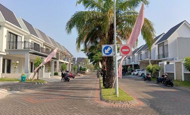 Zelkova Safira Garden