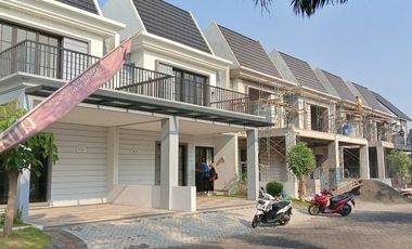 Zelkova Safira Garden