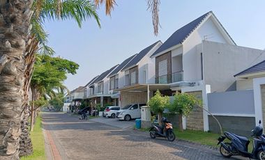 Zelkova Safira Garden