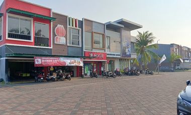 Zelkova Safira Garden