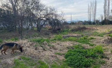 Casa en venta en REQUINOA