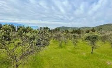 Parcela en Venta en I-214