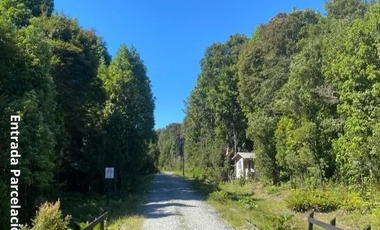 PARCELA 5100 M2 EN VENTA, CON BOSQUE NATIVO, PUERTO VARAS