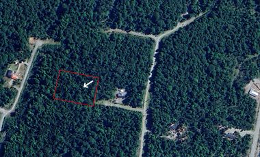 PARCELA 5100 M2 EN VENTA, CON BOSQUE NATIVO, PUERTO VARAS