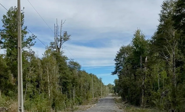 PARCELA 5100 M2 EN VENTA, CON BOSQUE NATIVO, PUERTO VARAS
