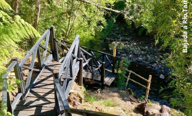 PARCELA 5100 M2 EN VENTA, CON BOSQUE NATIVO, PUERTO VARAS